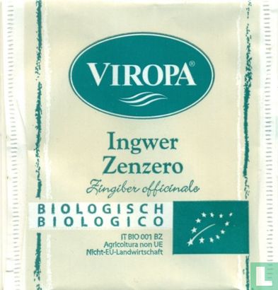 Ingwer Zenzero  - Afbeelding 1