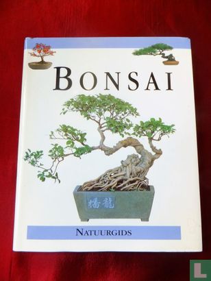 Bonsai  - Afbeelding 1