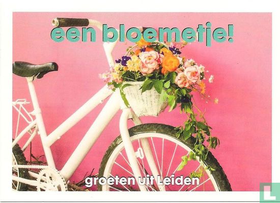 Een bloemetje! groeten uit Leiden - Afbeelding 1