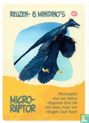 Microraptor - Afbeelding 1