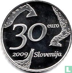 Slovenië 30 euro 2009 (PROOF) "100th anniversary of the birth of Zoran Mušič" - Afbeelding 1