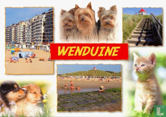 WENDUINE - Afbeelding 1
