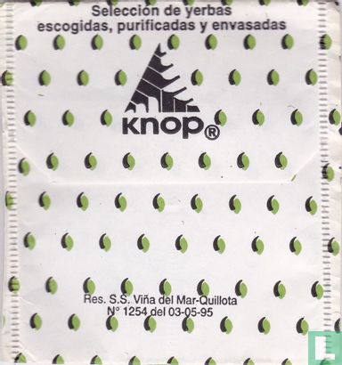 Zarzaparrilla - Image 2