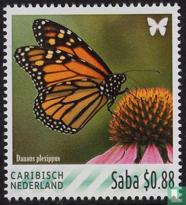 Papillons-Saba