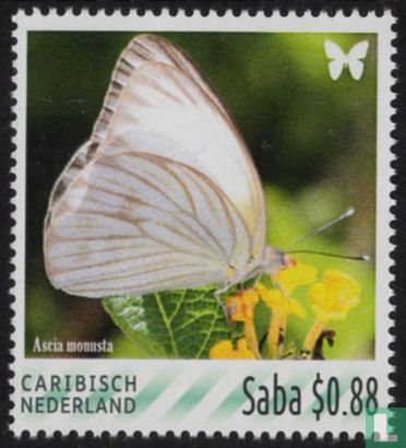 Butterflies Saba