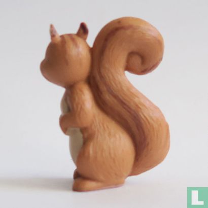 Squirrel   - Image 2
