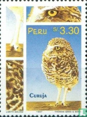 Vogels van het Manu Nationaal Park