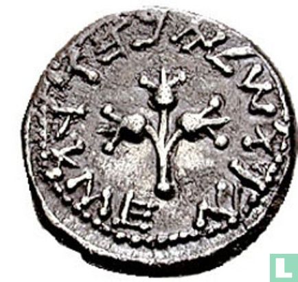 Judea ½ shekel 1st Jewish War (with Rome, Year 2)  66-70 CE - Image 2
