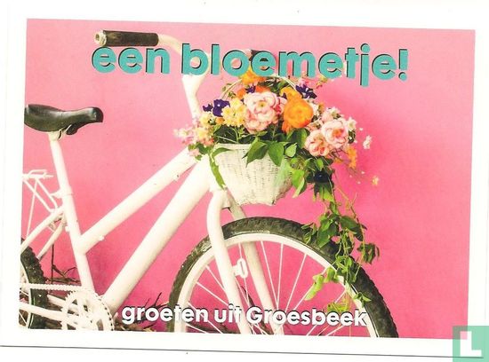 Een bloemetje! groeten uit Groesbeek - Afbeelding 1