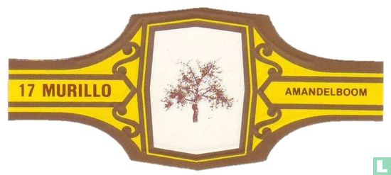 Almond tree - Image 1