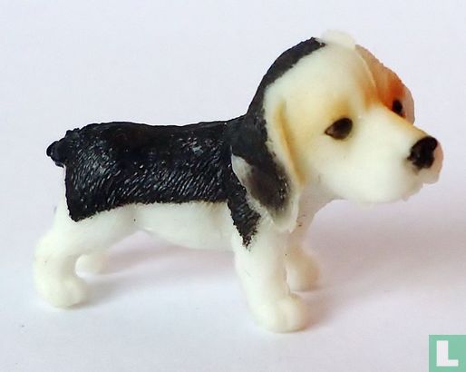 Puppy Beagle - Afbeelding 1