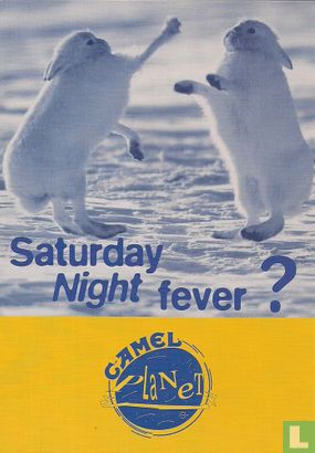 0377 - Camel Planet "Saturday Night fever?" - Bild 1