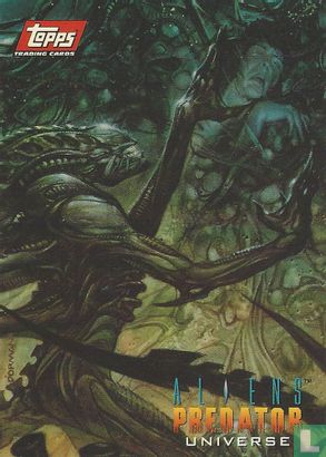 Aliens/Predator Universe - Image 1
