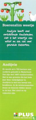 Endivie - Bild 3