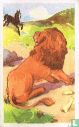 De oudgeworden Leeuw - Afbeelding 1