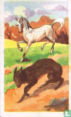 Het Paard en de Wolf - Afbeelding 1