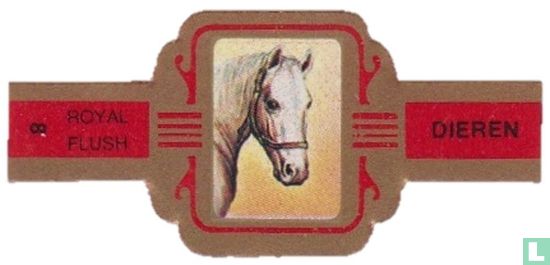 [Paard] - Afbeelding 1