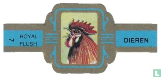 [Rooster] - Image 1