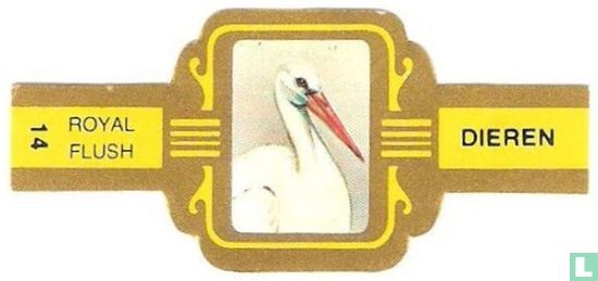 [Stork]  - Image 1