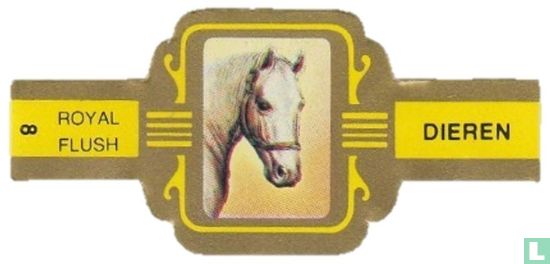 [Paard] - Afbeelding 1