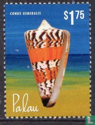 Indo-Pacific seashells 