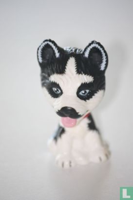 Chien-Husky - Image 1