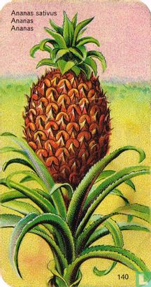Ananas - Afbeelding 1