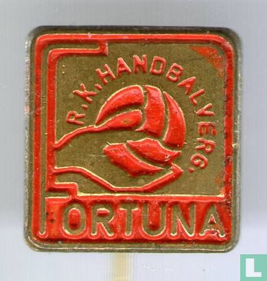 Comp Handball RK. Fortuna - Image 1