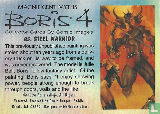 Steel Warrior - Afbeelding 2