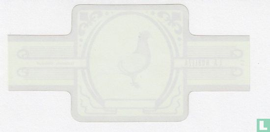 Tique de Pigeon interdits   - Image 2