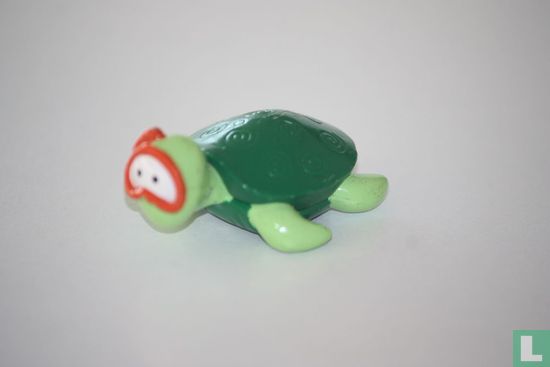 Schildpad met duikbril