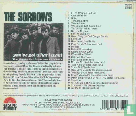 You've Got What I Want - The Essential Sorrows 1965-67 - Afbeelding 2