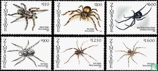 Spiders from southern Africa