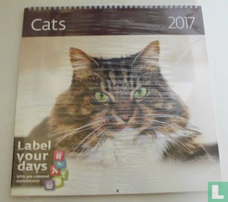 Cats 2017 - Image 1