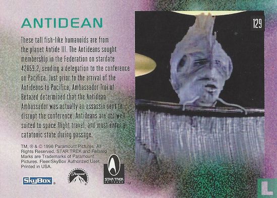 Antidean - Afbeelding 2