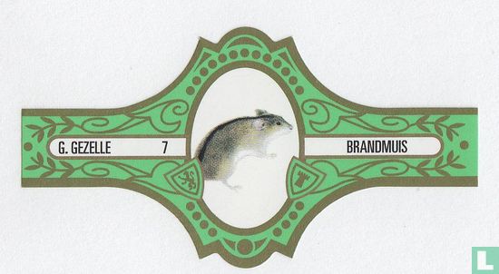 Brandmuis  - Image 1
