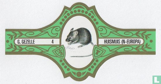 Huismuis (N-Europa)  - Image 1