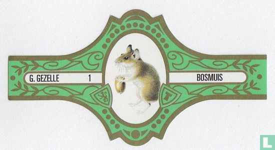 Bosmuis  - Image 1