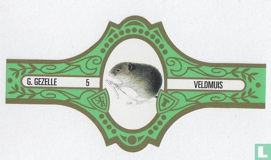 Veldmuis  - Image 1