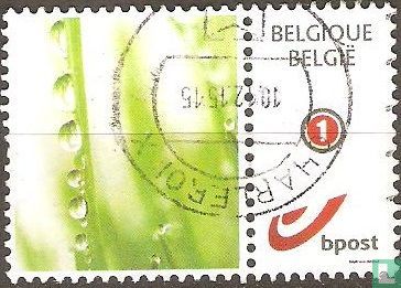 My stamp