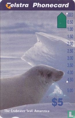 The Crabeater Seal - Image 1