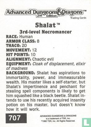 Shalat - 3rd-level Necromancer - Afbeelding 2
