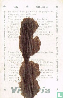 Kees Haast - Afbeelding 2