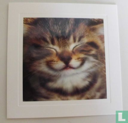 Kat - Image 1