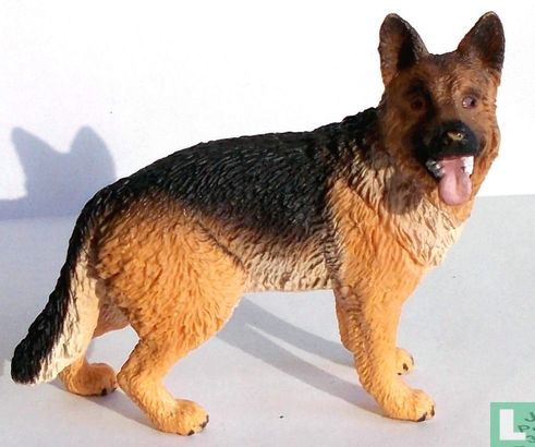 Shepherd debout