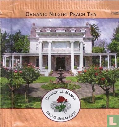 Organic Nilgiri Peach Tea - Afbeelding 1