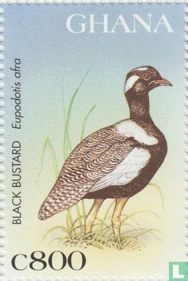Einheimische Vögel