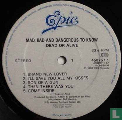 Mad, Bad, and Dangerous to Know  - Image 3