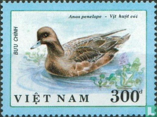 Canards