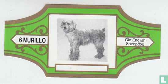 Old English Sheepdog  - Image 1